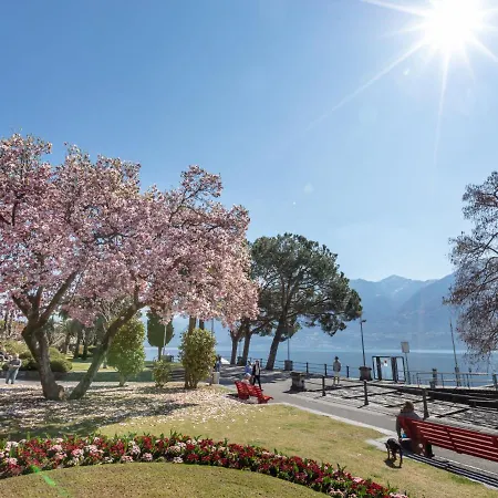 Junior Suite-6 By Interhome Ascona